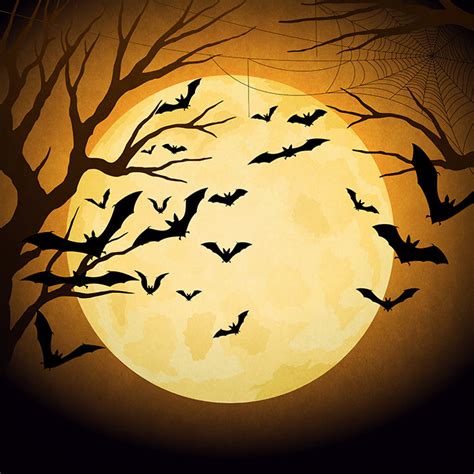 Halloween Photography Backdrop, Photo Booth Backdrop, Vinyl Backdrops