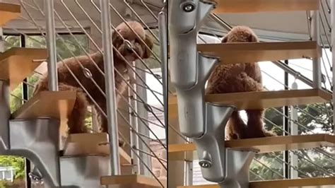 Sos gay o heterosexual la polémica máquina que lo deduce con solo una foto Infobae