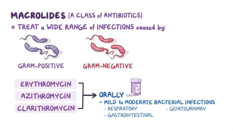 Antibiotics Macrolides Nursing Pharmacology Osmosis Video Library