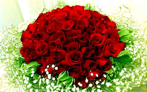 Rose Flower Bouquet Hd Images | Best Flower Site