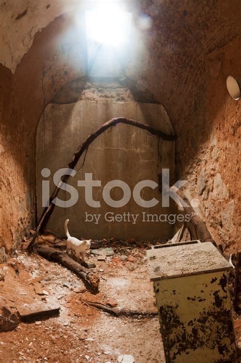 Abandoned Prison Cell Stock Photo | Royalty-Free | FreeImages