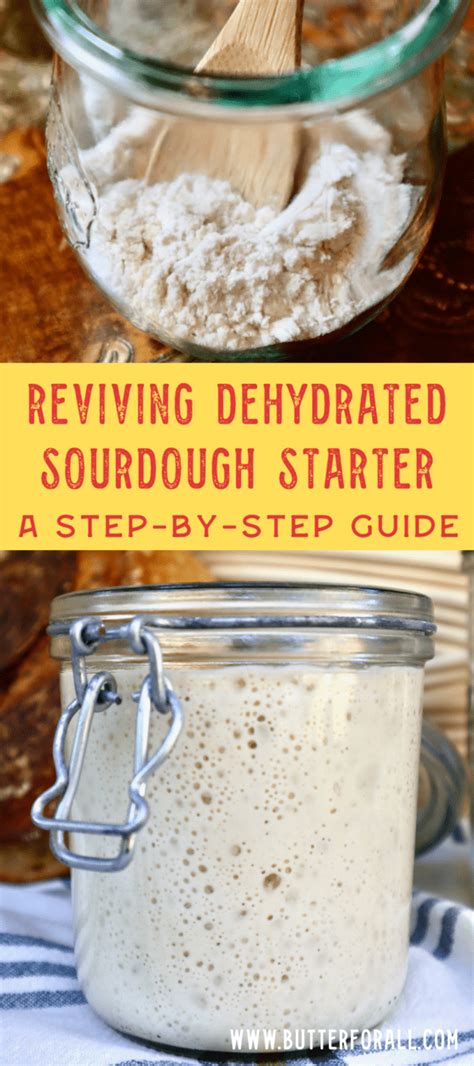 Reviving Dehydrated Sourdough Starter A Step By Step Guide • Butter For All