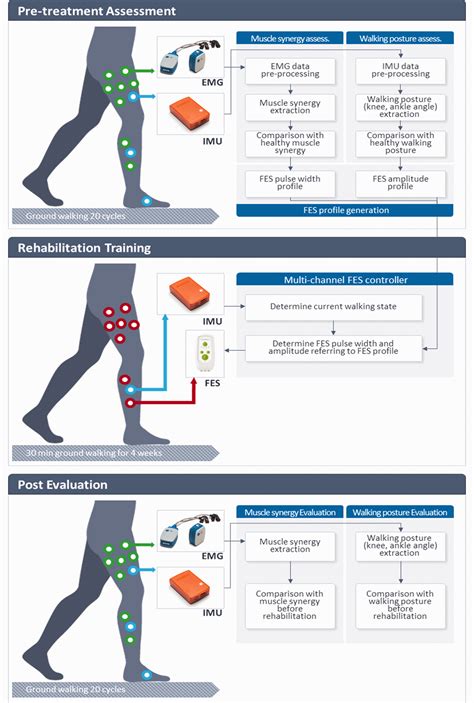 Patient Specific Functional Electrical Stimulation Strategy Based On