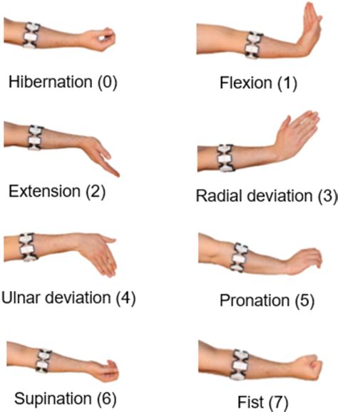 Figure 1 From Deep Residual Shrinkage Networks For EMG Based Gesture