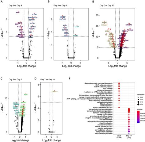 Day To Day Differential Protein Abundance Analysis Volcano Plots Of Download Scientific