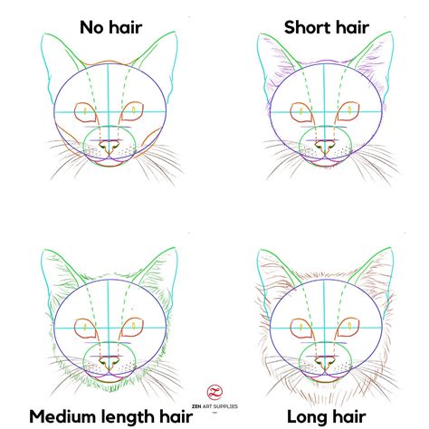 Purrfectly Drawn: 7 Steps To Mastering Feline Art