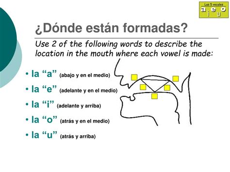 Ppt Vocales S ílabas R Eglas De Usar Los Acentos Powerpoint Presentation Id 3264843