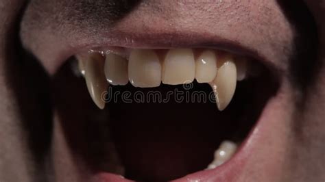 Vampire Shows His Fangs stock footage. Video of evil - 184851302