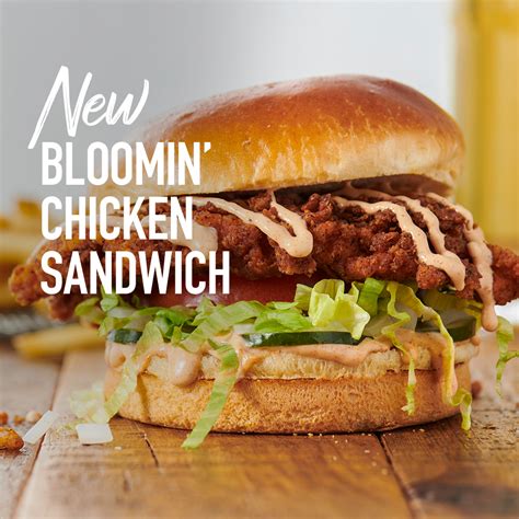 いろいろ Outback Steakhouse New Bloomin Fried Chicken Sandwich 265046