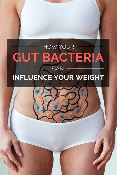 How Your Gut Bacteria Can Influence Your Weight Artofit