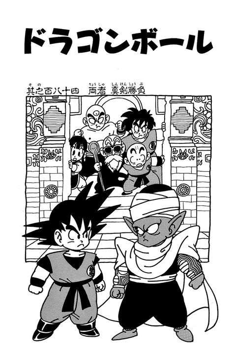 Son Goku Chi Chi Piccolo Kuririn Muten Roushi And 2 More Dragon