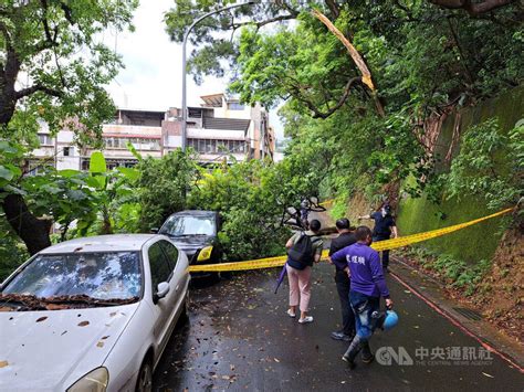 北市風雨逐漸增大 北投區樹倒壓損兩車 社會 中央社 Cna