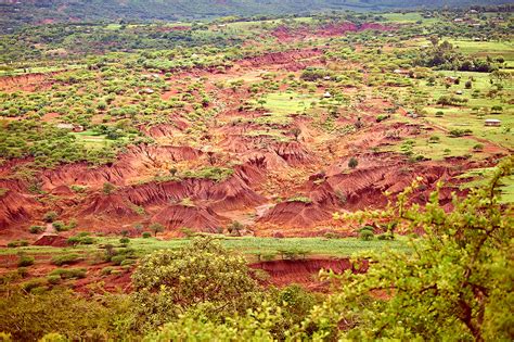 Explainer: Desertification and the role of climate change