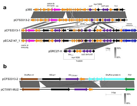 Complex AMR Modules In PCFS3313 1 And PCFS3313 2 A Highlighted In