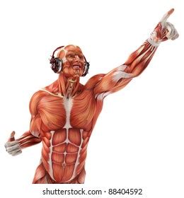 Thousand Naked Male Anatomy Royalty Free Images Stock Photos Pictures Shutterstock