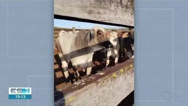 Boa Noite Espírito Santo edição regional Gerente de fazenda é preso