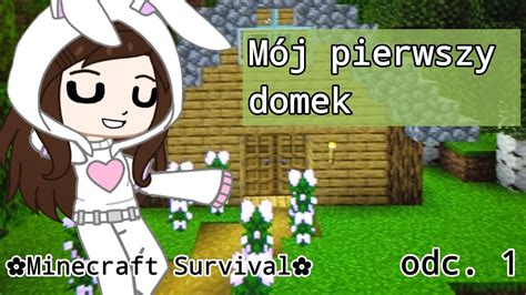 Pierwsza Noc I Pierwszy Domek Na Nowym Wiecie Minecraft Survival