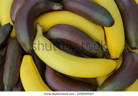 Different Types Bananas Background Top View Stock Photo 2256549367