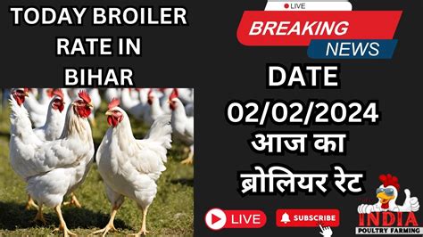 02 02 2024 Broiler Rate Today Chick S Rate Today Bihar Broiler Rate