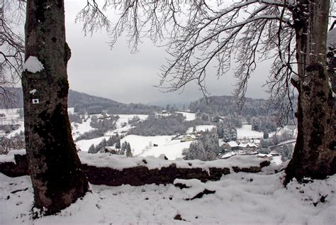 All there is to know about Winter in France - French Moments