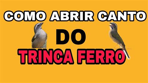 COMO FAZER TRINCA FERRO CANTAR 01 YouTube