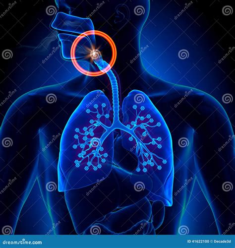 Apnea - Obstruction Sleep Apnea Stock Illustration - Illustration of