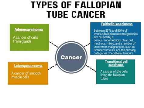 What Is Fallopian Tube Cancer? - Klarity Health Library