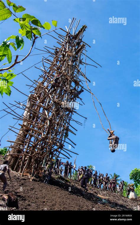 Vanuatu, Pentecost Island. Age-old ritual of land diving. Series 2 of 5 ...