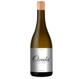 Oxalá Calcário Reserva Branco 2020 Compre Já Online Granvine