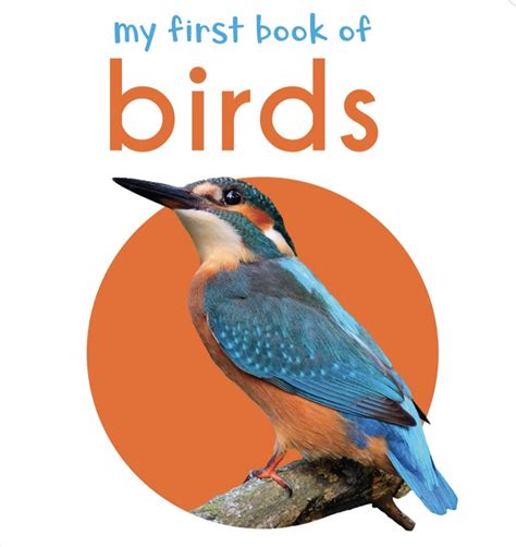 My First Book Of Birds First Board Book By Wonder House Books