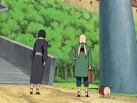 Lady Tsunade With Shizune And Tonton Looking At A Castle Rtsunadesenju