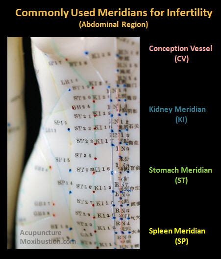 Fertility Acupuncture Points