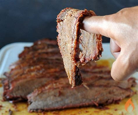 Electric Smoker Brisket Recipe Smoked | Bruin Blog