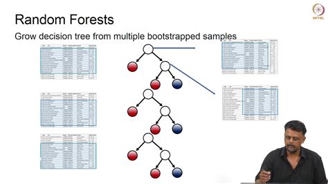 Random Forest Youtube