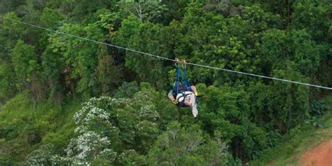 Puerto Rico The Beast Zipline In Toro Verde Adventure Park Getyourguide