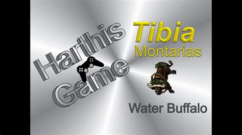 Tutorial Tibia Montaria Water Buffalo Hg Youtube