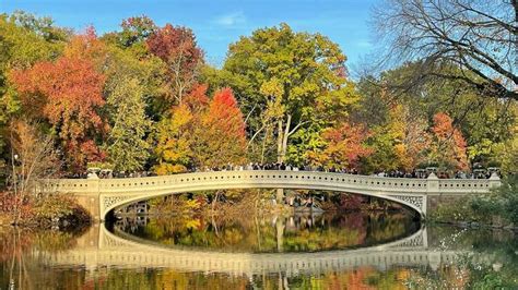 The Iconic Central Park Bow Bridge Is Officially Closed For Two Months