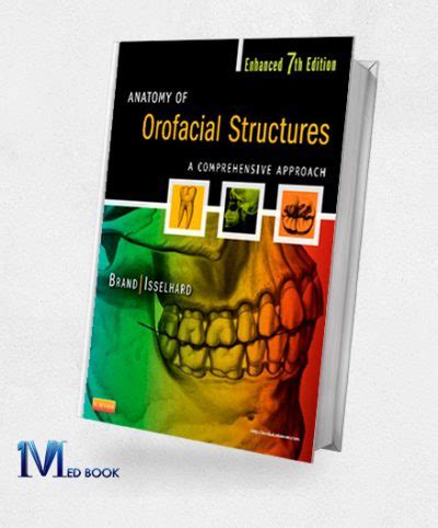 Anatomy Of Orofacial Structures 20 Off