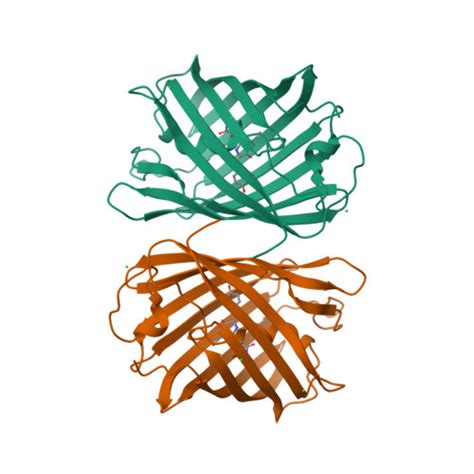 RCSB PDB 7SWR Crystal Structure Of The Chromoprotein GfasPurple