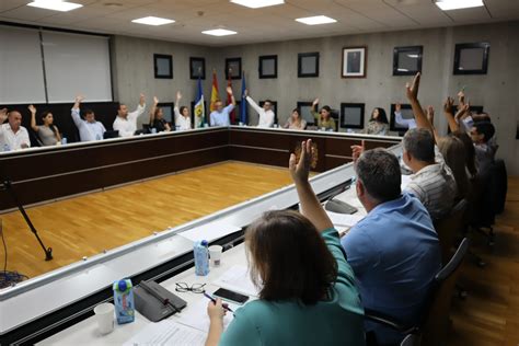 El Pleno Aprueba La Delegaci N De Competencias En Otros Rganos Y La