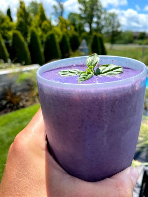 SMOOTHIE AUX BLEUETS ET BANANES SAMSARA