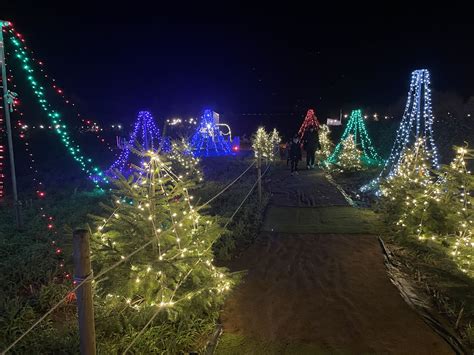 Christmas Lights And Reindeer Experience Nutley Farm Events