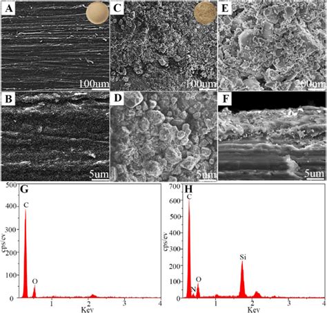 A B Sem Images Of Surface Morphology Of Peek C D E Sem Images