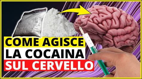 Come Agisce La Cocaina Sul Cervello Meccanismo D Azione Della Cocaina