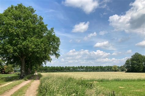 Hof Van Twente XL Gravelrides Cc