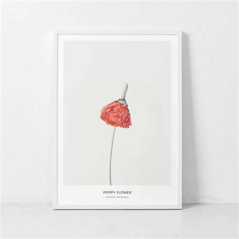 Red Poppy Print Flowers Wall Art Botanical Wall Art | Etsy