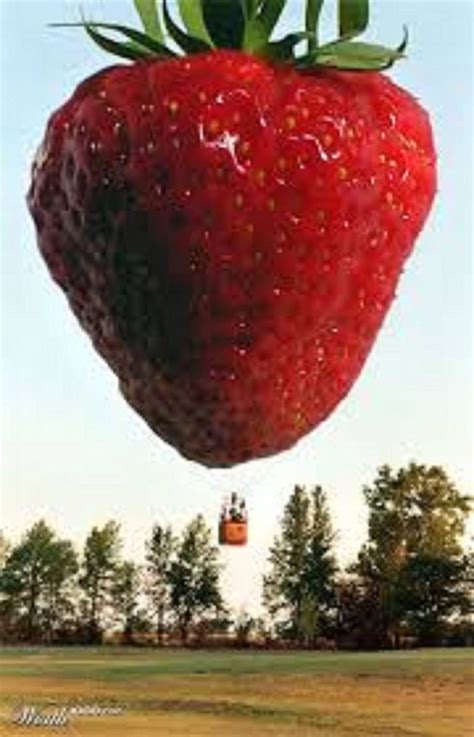 Darth Vader Takes To The Skies During Spectacular Hot Air Balloon Display Artofit