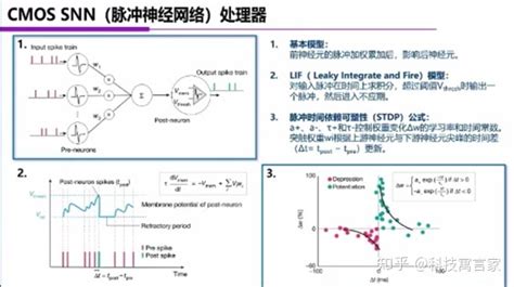 一文吃透ai芯片技术路线 知乎