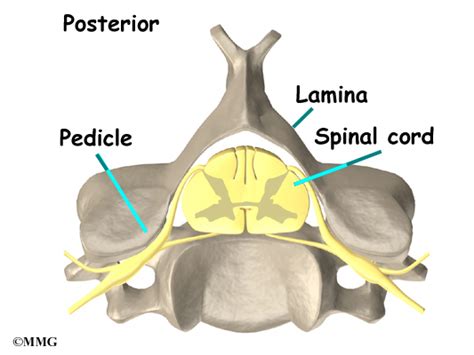 Specialties | St. Croix Orthopaedics