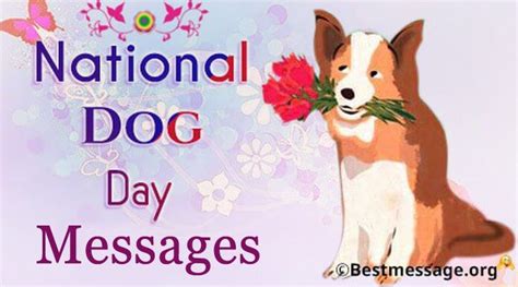 Happy National Dog Day Wishes Messages and Quotes | Happy national dog ...